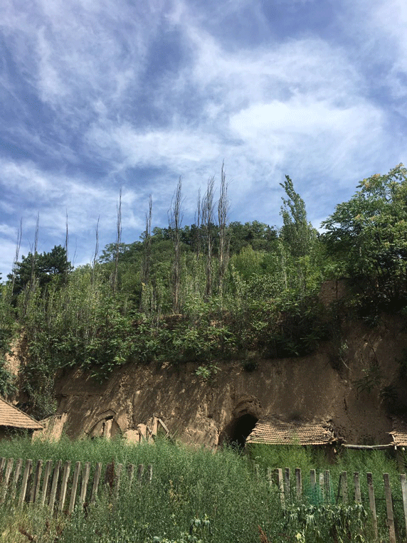 庆阳市山区黄瓜视频下载污